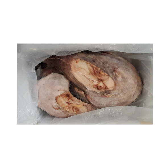 Frozen Monkfish Bulk 4p 10kg /냉동 아구 4미 10kg